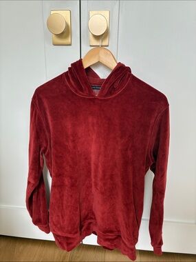 Plush Velour Hoodie in Rust
